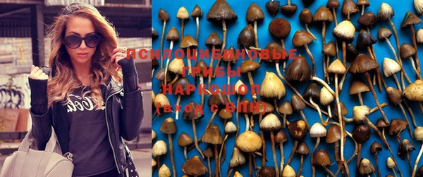 амф Баксан
