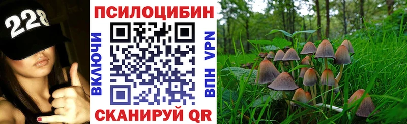 hydra ссылка Сосновый Бор Галлюциногенные грибы Psilocybe