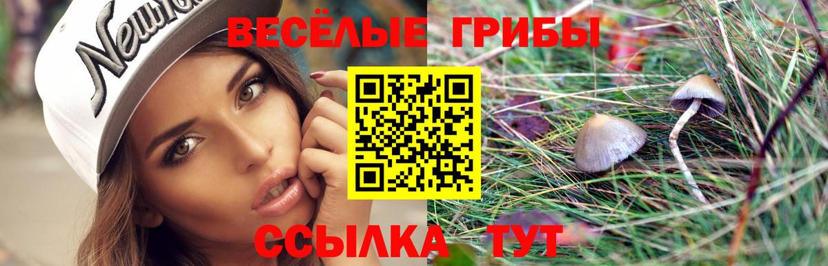 Сосновый Бор  Псилоцибиновые грибы Magic Shrooms  Вход с VPN  Галлюциногенные грибы мицелий 