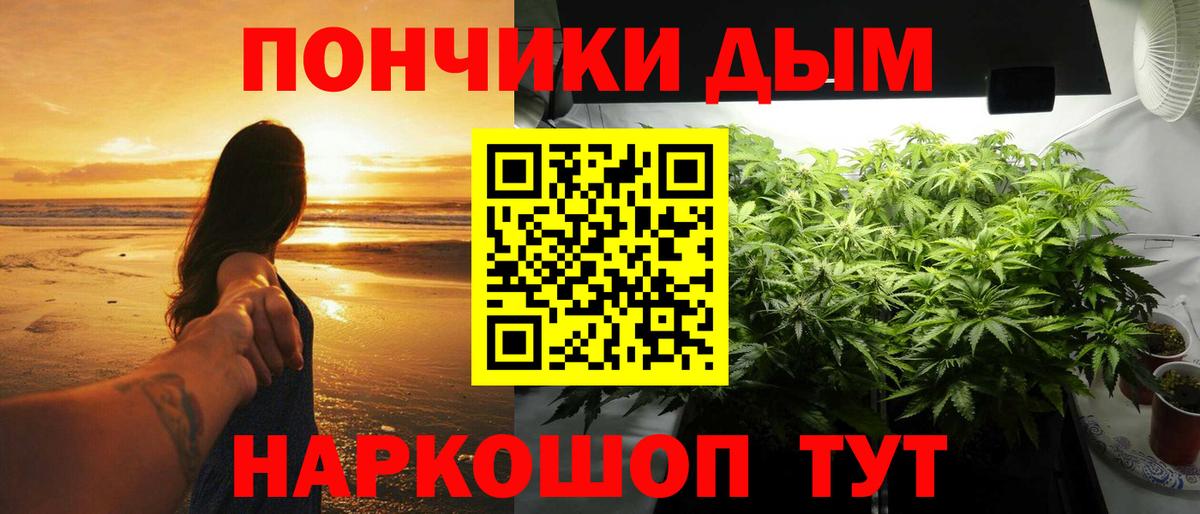 Конопля сатива Сосновый Бор